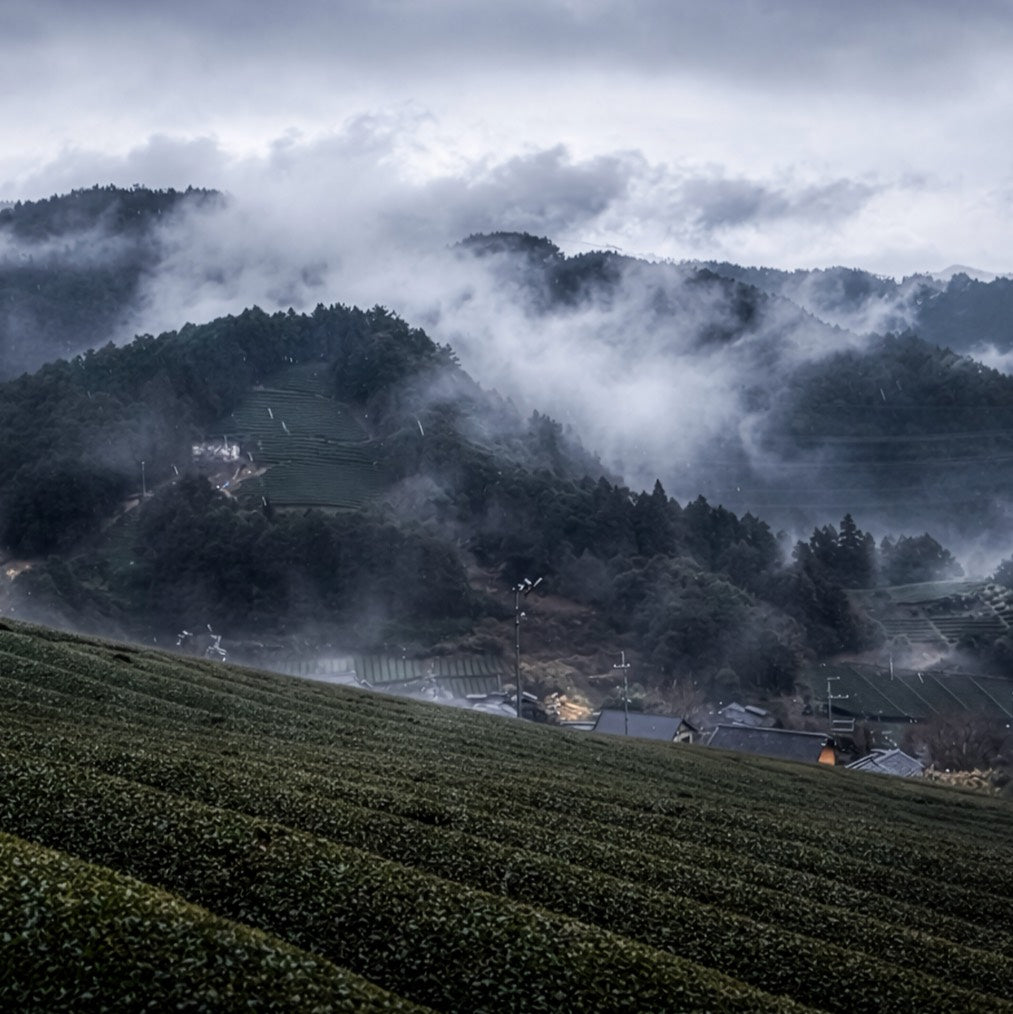 #001|霧立つ山間に刻まれた八百年の歳月 - 前編 -